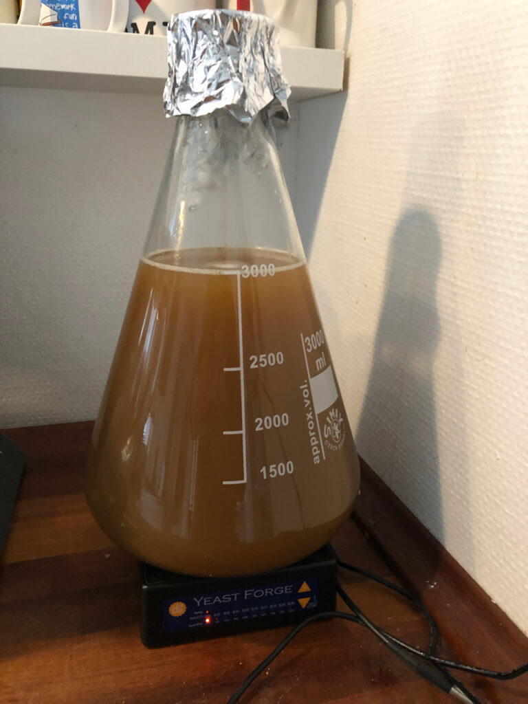 Gærstarter i en erlenmeyerkolbe på en magnetomrører