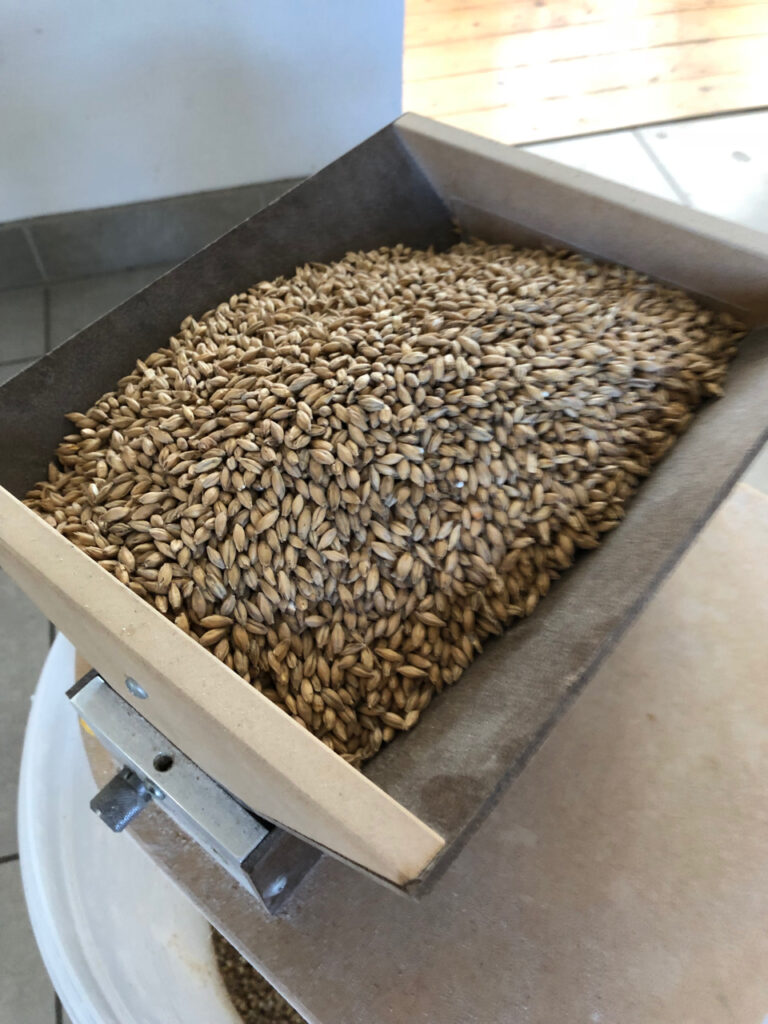 Malt i tragten på en valsemølle