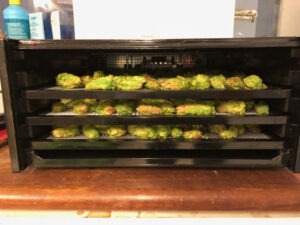 Humlekopper tørres på bakker i en Excalibur-dehydrator